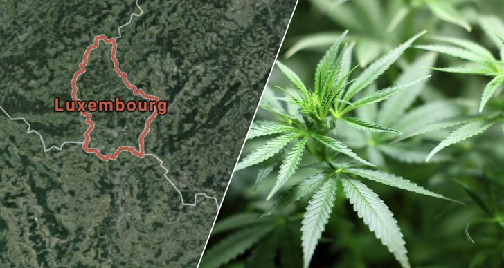 Legalisering, Droger, Luxemburg, Cannabis, Nederländerna, Legalisera